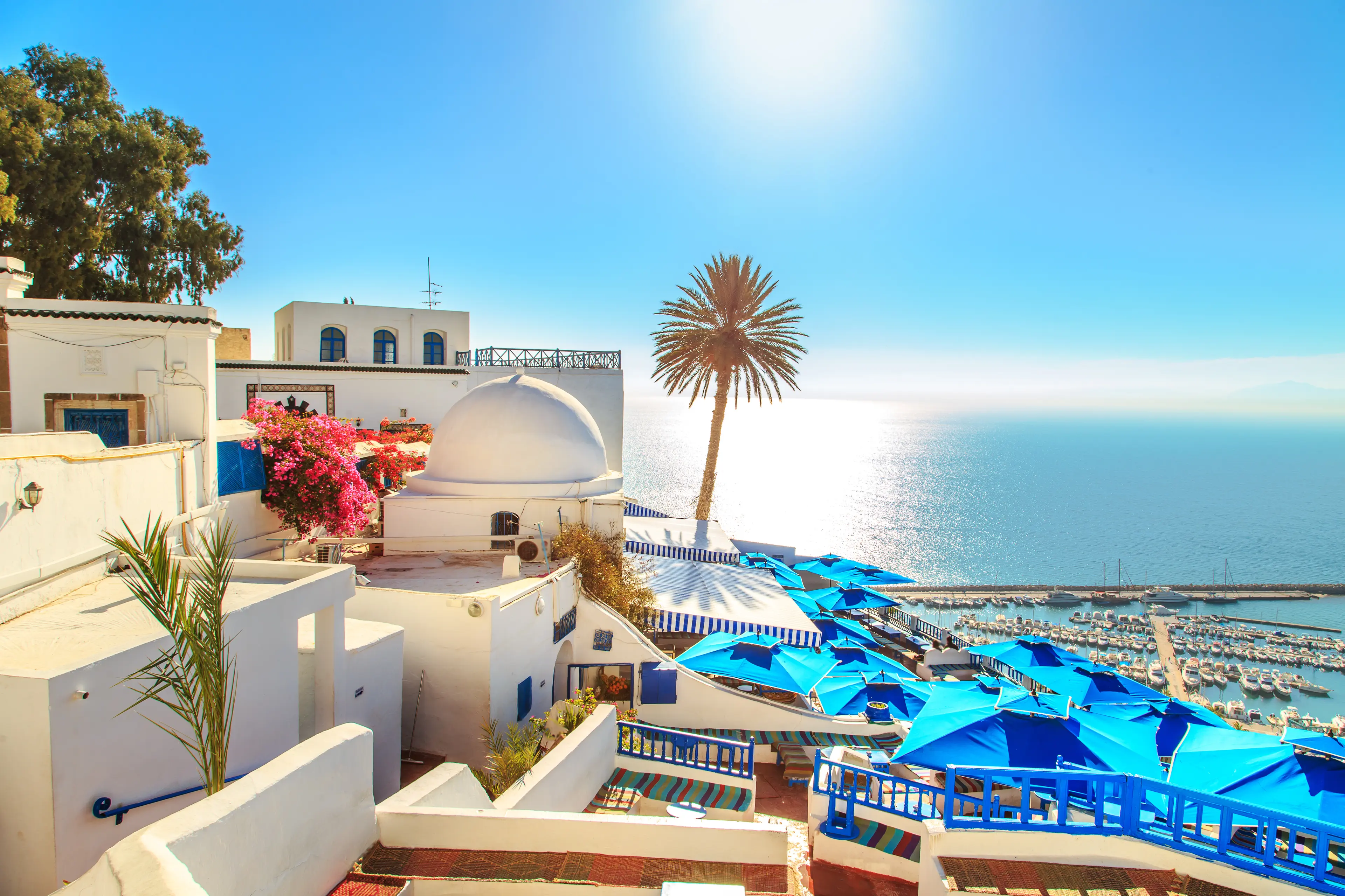Transfert vers Sidi Bou Said
