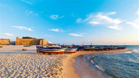 Transfert vers Hammamet