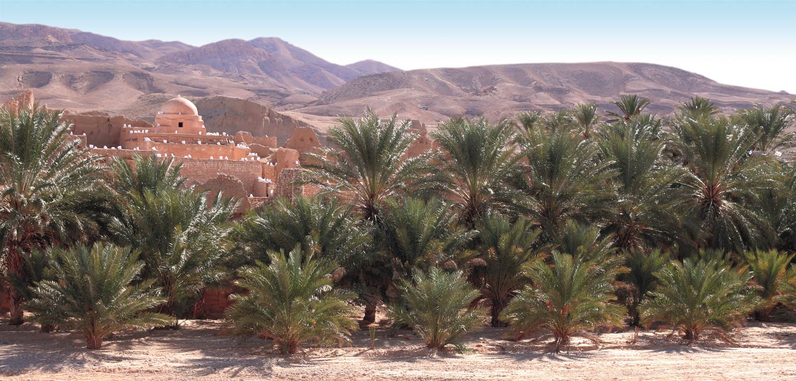 Transfert vers Djerba